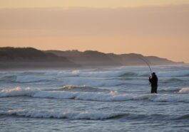 Brandungsangeln an Nord- & Ostsee: Tipps für Einsteiger
