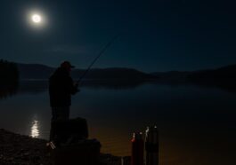 Die besten Spots & Taktiken fürs Angeln bei Nacht