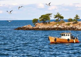 Dorschangeln in der Ostsee – die besten Spots & Köder