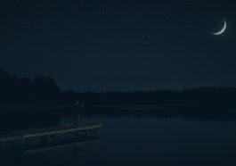 Nachtangeln auf Aal, Wels & Zander – so geht's erfolgreich