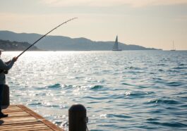 Tipps zum Angeln im Meer: Sicherheit, Köder & Technik